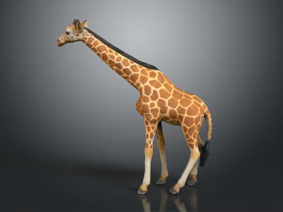 Giraffe With Long Neck And Brown Yellow Spots On Gray Background 3d model