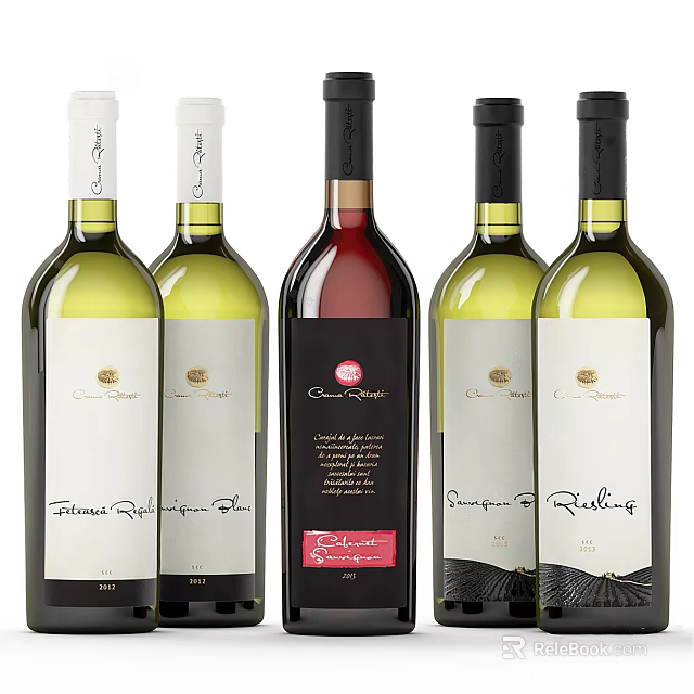Stylish Wine Bottles And Glasses Display With Red White Wines And Unique Labels 3d model 