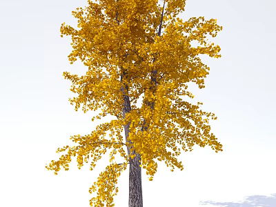 Arbor Tree with Lush Golden Yellow Leaves and Tall Brown Trunk 3d model