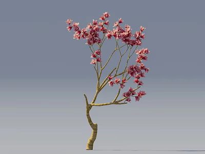 Beautiful Tree With Pink Flowers And Yellow Trunk On Light Blue Background 3d model