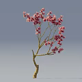 Beautiful Tree With Pink Flowers And Yellow Trunk On Light Blue Background
