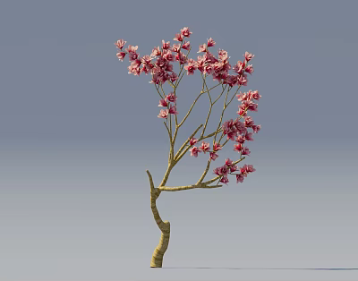 Beautiful Tree With Pink Flowers And Yellow Trunk On Light Blue Background 3d model