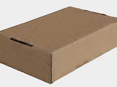Brown Corrugated Cardboard Box Ideal For Storing Daily Household Items 3d model