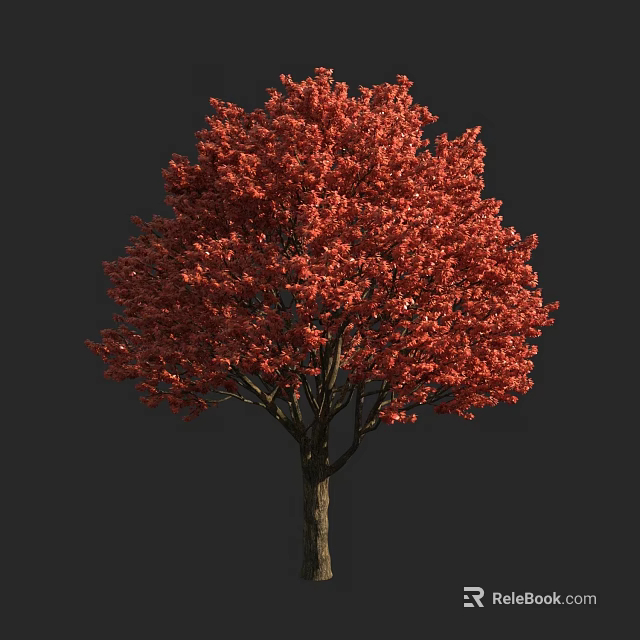 Vibrant Red Leaf Tree With Dense Canopy Standing Against Dark Background 3d model 