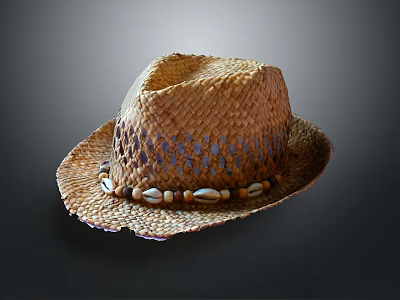 Woven Straw Hat With Decorative Shells And Wide Brim For Summer Accessory 3d model