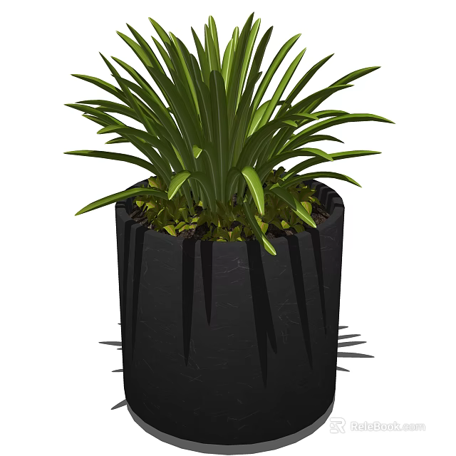 Potted Plant in Black Cylindrical Pot with Lush Green Long Leaves 3d model 