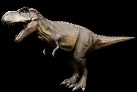 Dinosaur Tyrannosaurus Far Paleontology Fantasy Creatures 3d model