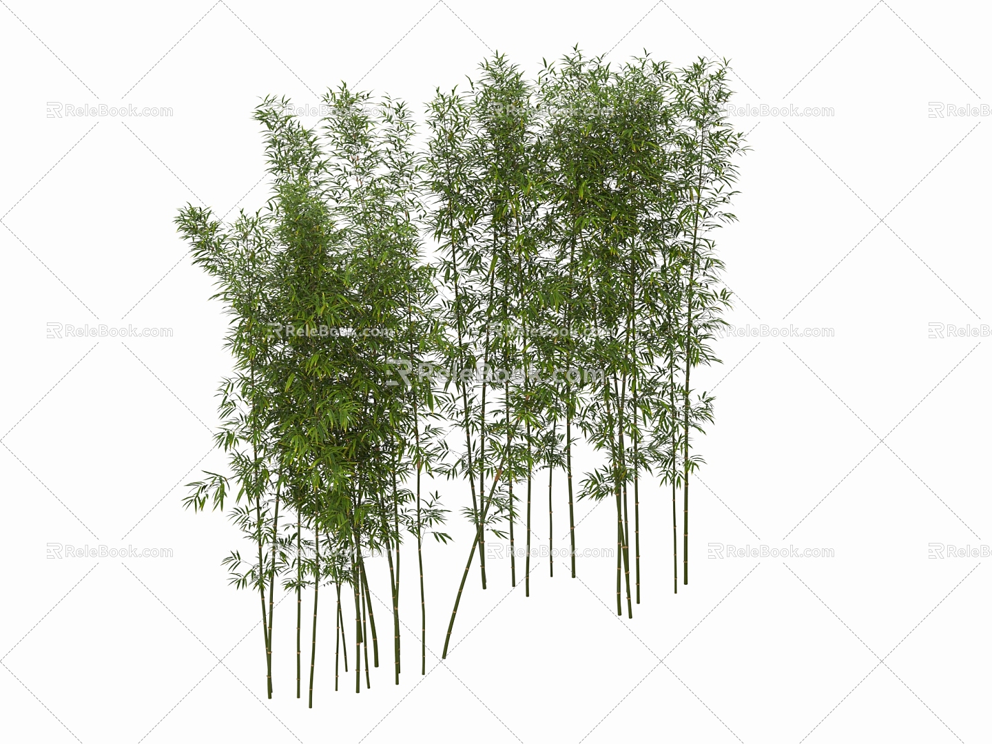 Bamboo Landscape Bamboo Luohan Bamboo Xiangfei Bamboo Courtyard Bamboo Garden Forest Bamboo 3d model