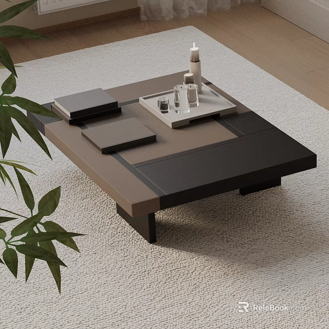 Modern Sofa and Coffee Table Set with Brown Black Design Decorative Items and Green Plant 3d model 