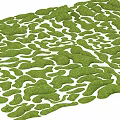 Natural Garden Landscape With Green Irregular Mossy Ground And Organic Shapes