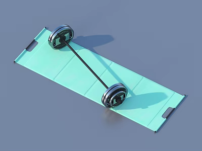 Essential Sports Equipment Including Green Yoga Mat And Barbell For Home Fitness 3d model