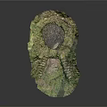 Ancient Stone Archway With Moss Covered Steps And Lush Green Vegetation
