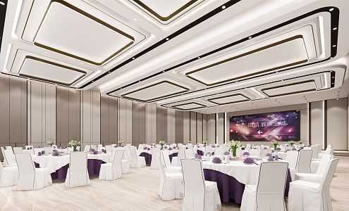 Modern Ballroom Hotel Ballroom 3d model