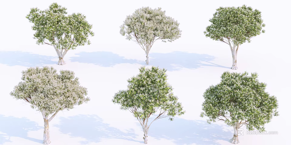 Multiple Trees With Lush Green Foliage And Natural Branch Structures 3d model