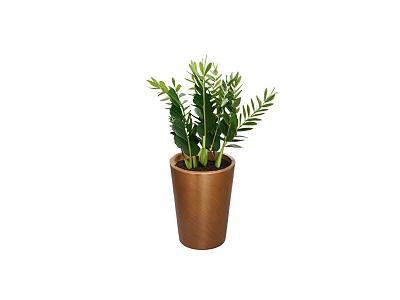 Potted Bonsai Plant With Green Leaves In Brown Pot For Indoor Decoration 3d model