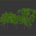 Green Plants of Various Sizes and Shapes Against Gray Gradient Background