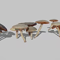 Multiple Brown Mushrooms Displaying Various Sizes And Natural Cap Stem Structures 3d model