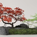 Vibrant Red Maple Tree with Green Trees Rocks and Grass in Natural Landscape
