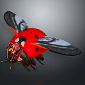 Red Ladybug with Black Spots Displaying Open Wings in Flight Pose 3d model
