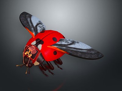 modern beetle scarab insect 3d model