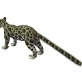 Realistic Clouded Leopard Figure In Standing Pose With Open Mouth And Spotted Fur