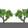 Lush Arbor Outdoor Landscape With Green Foliage And Pink Flowers