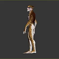 Game Movie Character With Muscular Body Yellow White Scaled Skin And Horned Head