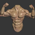 Medical Device Anatomical Torso Model Headless Muscular Structure with Flexed Arms Displaying Muscles Dark Background