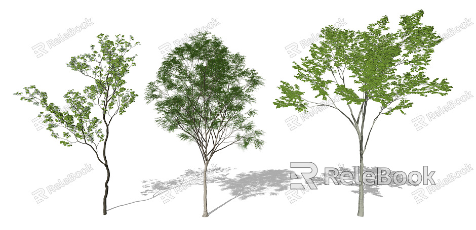 Modern Tree Landscape Tree Landscape Plants Sophora japonica model