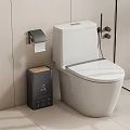 Modern White Toilet With Wall Mounted Toilet Paper Holder And Black Trash Bin In Bathroom