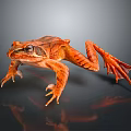 Vibrant Orange Striped Frog Leaping On Dark Background With Reflection 3d model