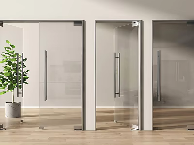 Glass Hinged Doors With Silver Metal Frames Transparent Glass Green Plant And Light Wooden Floor 3d model