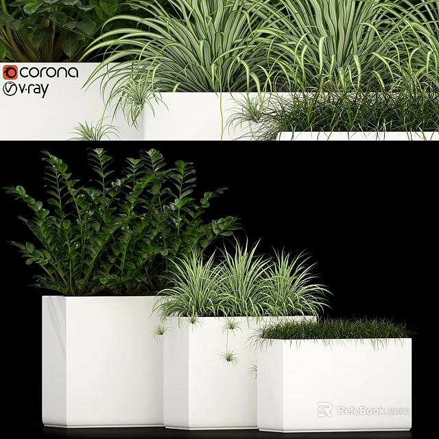 Decorative Ornament Set with Green Plants in White Planters for Modern Interior Decor 3d model 