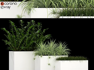 Decorative Ornament Set with Green Plants in White Planters for Modern Interior Decor 3d model