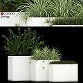 Decorative Ornament Set with Green Plants in White Planters for Modern Interior Decor