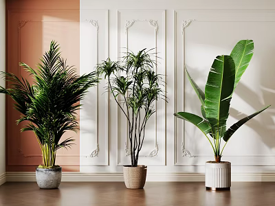 Indoor Decorative Potted Green Plants in Ceramic Pots with Wall Paneling and Wooden Floor 3d model