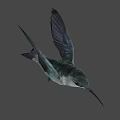 Colorful Hummingbird Flying With Spread Wings In Natural Outdoor Scene