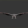 Fantasy Dragon With White And Red Wings In Flying Pose
