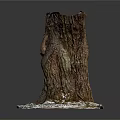 Natural Tree Stump With Rough Bark Texture And Snowy Base