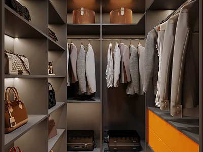 Modern Luxury Walk In Wardrobe With Built In Lights Clothes Handbags And Luggage Storage Design 3d model