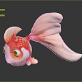 Colorful Aquatic Animal Goldfish With Red And White Body Flowing Tail And Shiny Scales