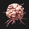 3D Rendered Pink Spherical Cell Like Structure With Thin Protrusions On Black Background