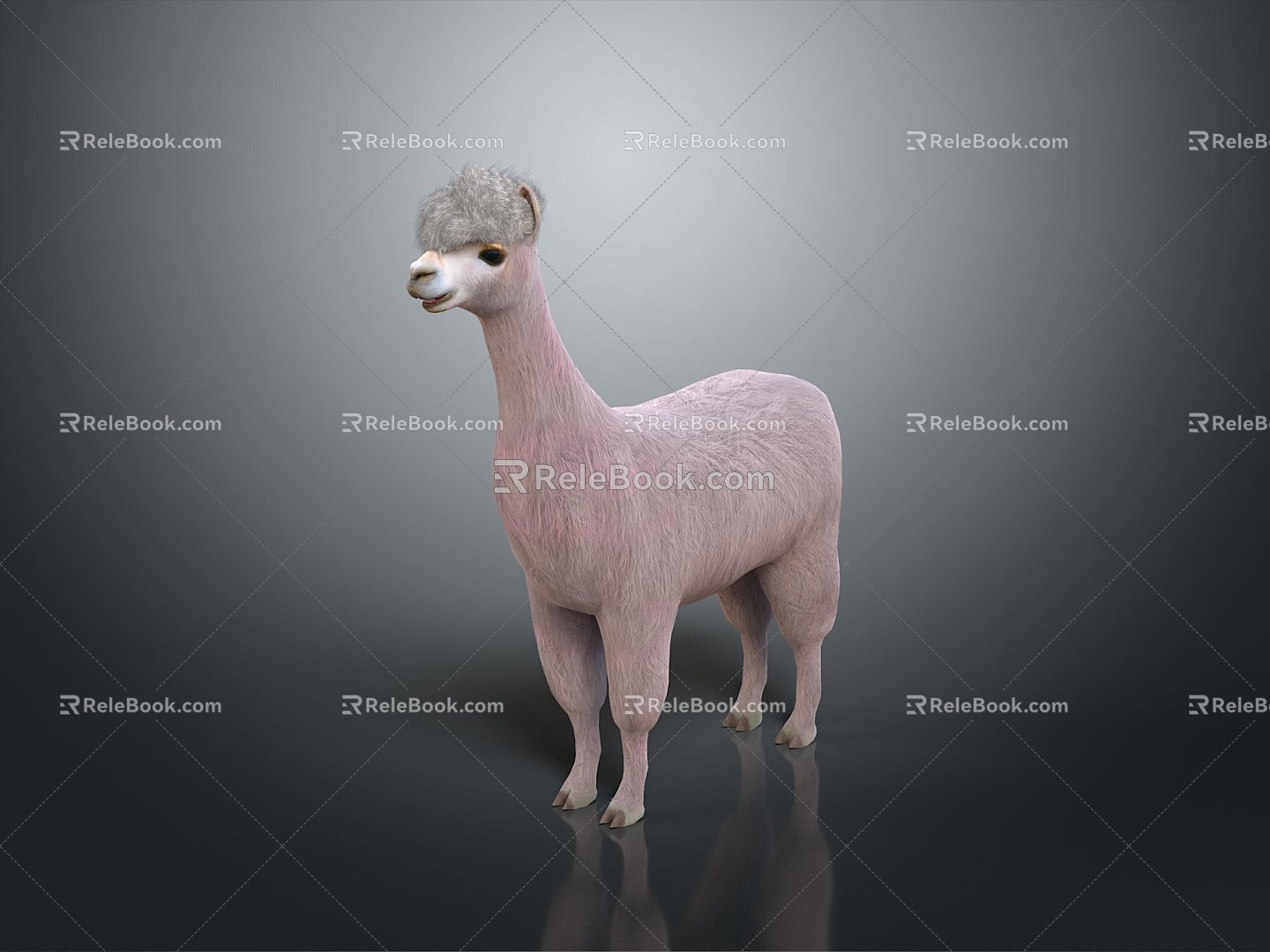 alpaca wool llama alpaca alpaca camel sheep humpless moose animal 3d model