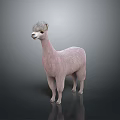 Pink Alpaca Stuffed Toy Living Product on Gray Background with Reflective Floor