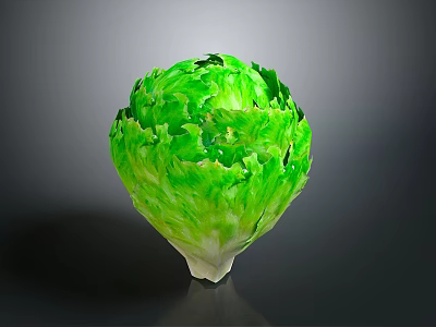 Fresh Green Whole Lettuce Head with Crisp Leaves Healthy Organic Vegetable 3d model