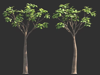 Two Trees with Lush Green Leaves and Brown Trunks Against Black Background 3d model