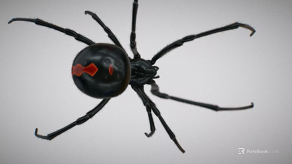 Venomous Reptile With Black Body And Red Hourglass Markings In Wildlife Scene 3d model 