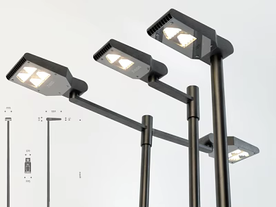 Modern Outdoor LED Street Lights With Black Pole And Adjustable Arm Design 3d model
