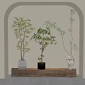 Potted Bonsai Trees on Wooden Plank with Various Pots in Arched Niche