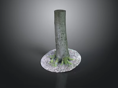 Natural Tree Stump Decor With Exposed Roots And White Gravel Base 3d model